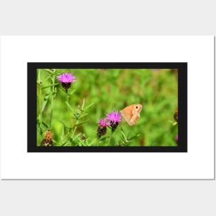 Ringlet Butterfly Posters and Art